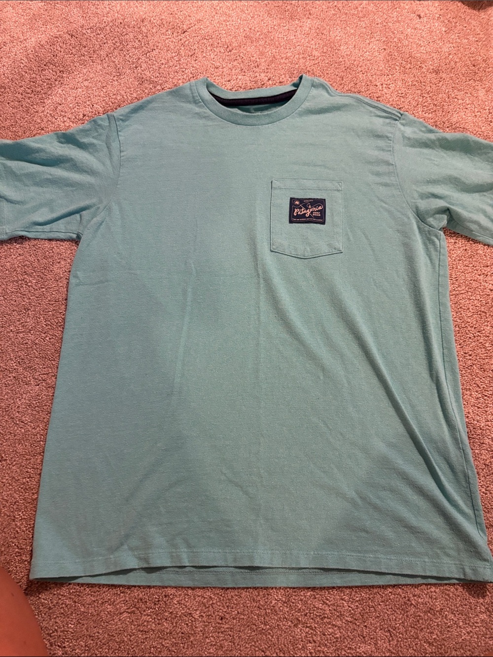 Patagonia Seafoam Short Sleeve Pocket Tee